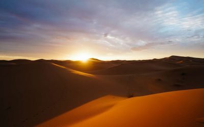 Arabic Articles